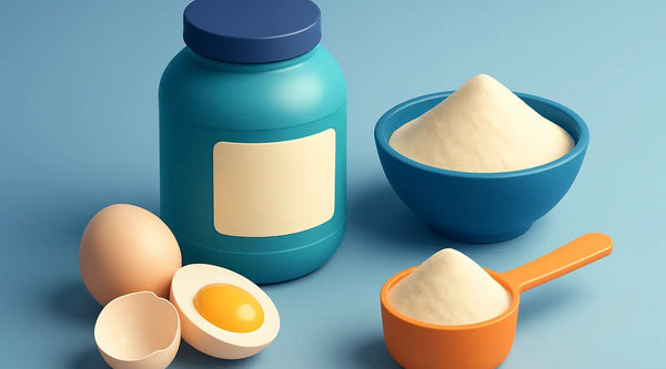 Egg White Protein Powder Benefits, Explained - Rise Up Nutrition